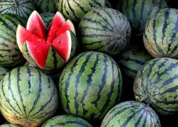 На тернопільських ринках у розпалі сезон кавунів: вартість та як обрати (Відео)