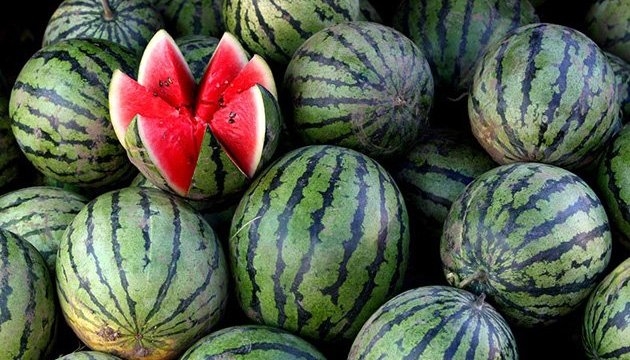 На тернопільських ринках у розпалі сезон кавунів: вартість та як обрати (Відео)