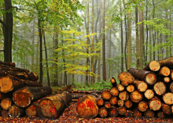 Посадовець Тернопільщини підозрюється у службовій недбалості, що спричинила збитки на мільйони