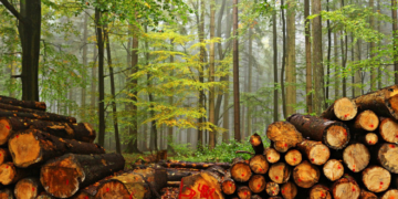 Посадовець Тернопільщини підозрюється у службовій недбалості, що спричинила збитки на мільйони