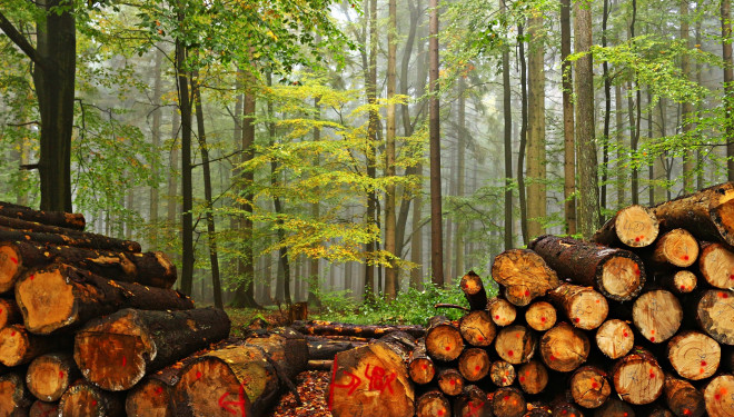 Посадовець Тернопільщини підозрюється у службовій недбалості, що спричинила збитки на мільйони