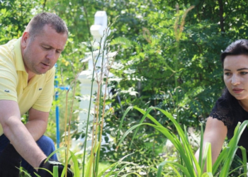 «Без минулого немає майбутнього»: команда Чайківського закликає вшанувати пам‘ять борців за волю України