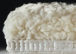 Жителька Тернопільщини вже 8 років створює одяг із вовни (Відео)