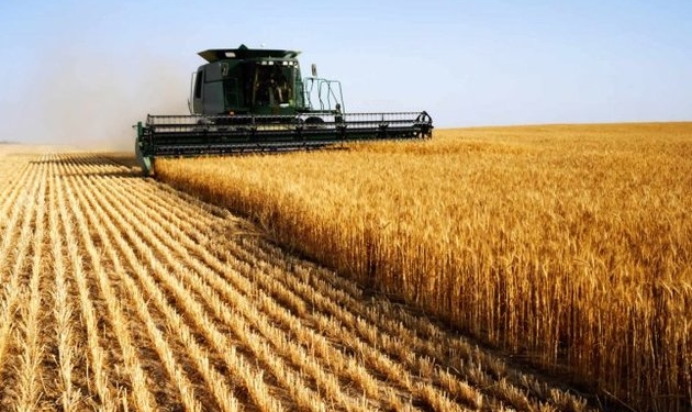 Будемо ситі: Тернопільщина посідає п’яте місце по урожайності в Україні