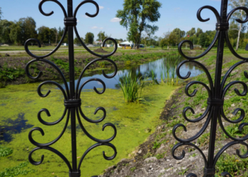 На Тернопільщині будують сучасний мультикомплексний сад
