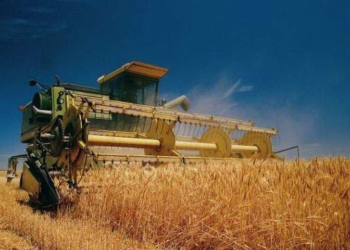 Тернопільщина у ТОП-5 по збору урожаю