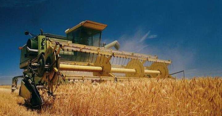 Тернопільщина у ТОП-5 по збору урожаю