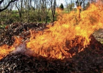 Жителям Тернопільської громади нагадують про заборону спалювання сухої трави, опалого листя та будь-якого сміття