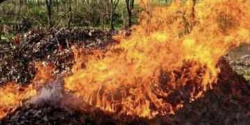 Жителям Тернопільської громади нагадують про заборону спалювання сухої трави, опалого листя та будь-якого сміття