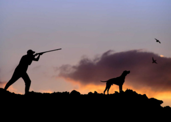 На Тернопільщині триває мисливський сезон: особливості