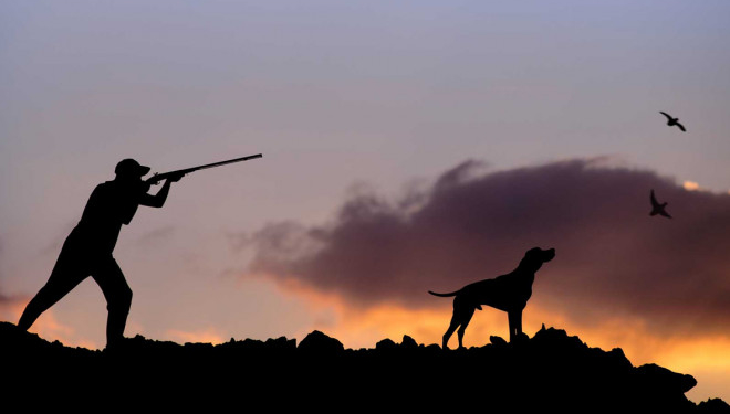 На Тернопільщині триває мисливський сезон: особливості