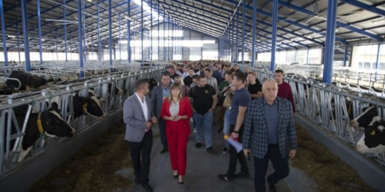 У “Бучачагрохлібпром” приїхали повчитися понад дві сотні молочників з усієї України