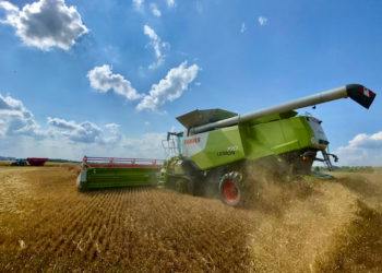 «Контінентал Фармерз Груп» завершила збір озимих культур