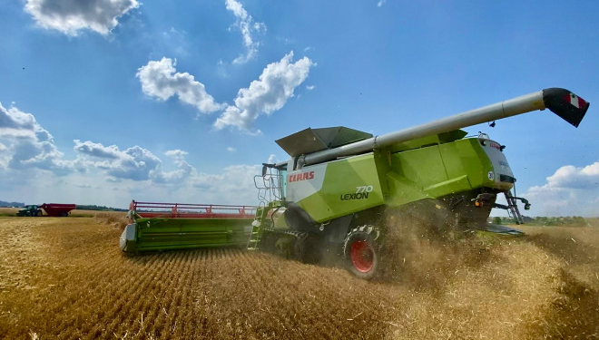«Контінентал Фармерз Груп» завершила збір озимих культур