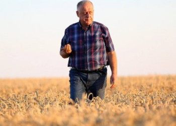 Школи Бучаччини отримають допомогу в розмірі 580 тисяч гривень від Бучацького мецената Петра Гадза