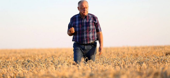 Школи Бучаччини отримають допомогу в розмірі 580 тисяч гривень від Бучацького мецената Петра Гадза