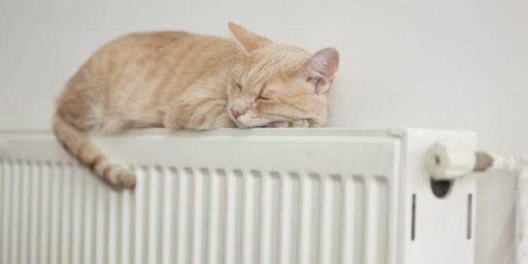 Тернопільщина активно готується до опалювального сезону