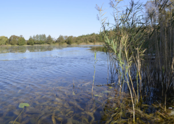 На Тернопільщині майно повертають у власність громади