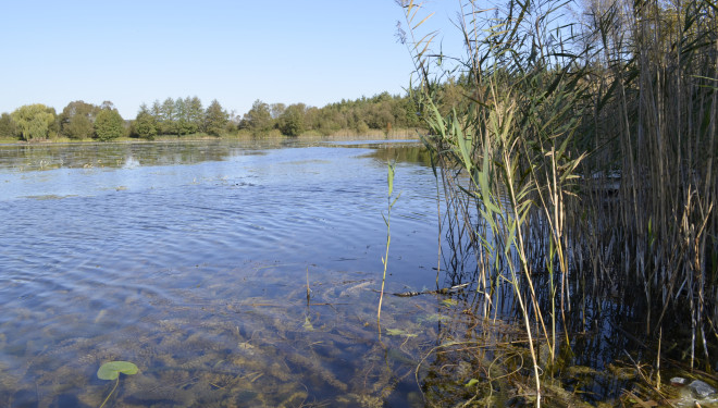 На Тернопільщині майно повертають у власність громади