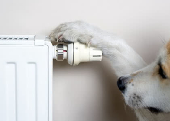 У Тернополі ціна для населення до кінця опалювального сезону 2021/2022 залишається без змін