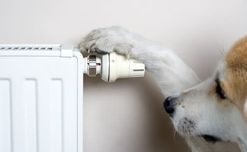 У Тернополі ціна для населення до кінця опалювального сезону 2021/2022 залишається без змін