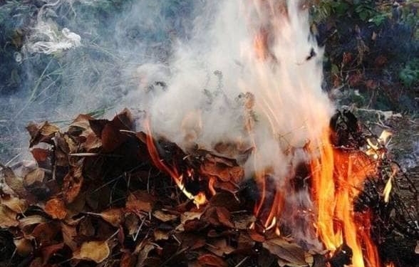 У Тернополі продовжують притягувати до відповідальності за спалення сухого листя та рослинності