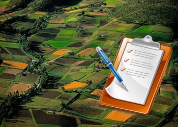 Не пройшло: на Тернопільщині виявили земельні ділянки, які оформляли із порушеннями