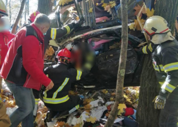 На Тернопільщині трапилася ДТП за участю автомобіля AUDI (Фото)