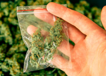 В черговий раз попалися: у в’язницю на Тернопільщині знову намагалися передати наркотичні речовини