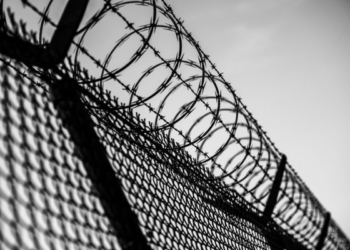 Вбивав та знімав на камеру: Тернопільська феміда оголосила вирок юному вбивці