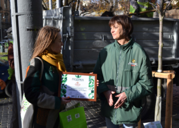 Львівська пивоварня приєдналася до глобального проєкту озеленення планети: іменне дерево з’явилося на проспекті Свободи у Львові