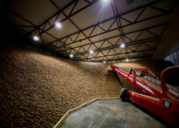 «Контінентал» запустив найсучасніше в Україні картоплесховище