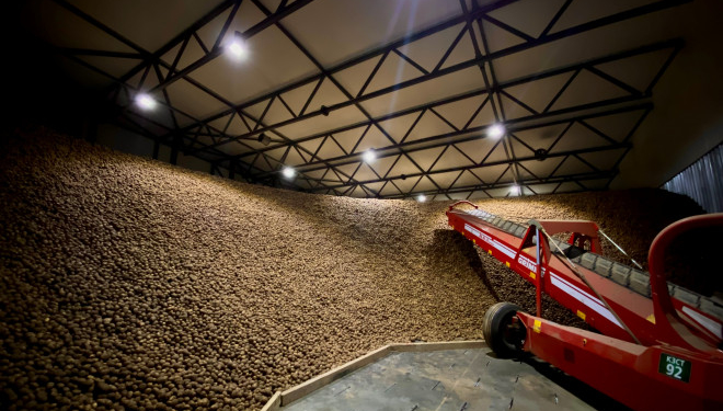 «Контінентал» запустив найсучасніше в Україні картоплесховище