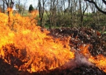 Ігри з вогнем: жителів Тернопільщини попереджають про небезпеку спалювання листя та сухої рослинності