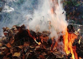 Жителів Тернопільщини закликають не знищувати екосистеми:  заборона все таки діє