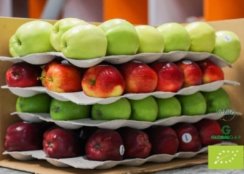 ФГ Гадз пропонує яблука з доставкою додому