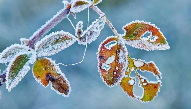 В Україні температура вночі опуститься до 8° морозу