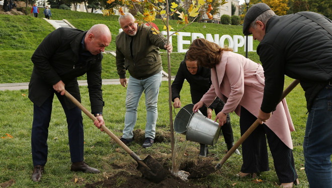 У 2021 році в Тернополі висаджено 600 нових дерев та кущів