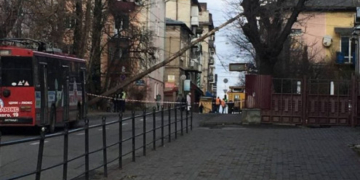 У центрі Тернополя перекрито проїзд, бо впало дерево
