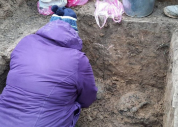 На Тернопільщині знайшли кам’яне поховання, якому 5 тисяч років