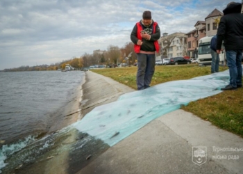 Якого саме сома запустили у Тернопільський став – всі подробиці