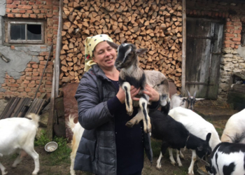 Секрет успіху відеоблогу «Я і мої кози» від сільської господині Любові Кобилянської з Тернопільщини