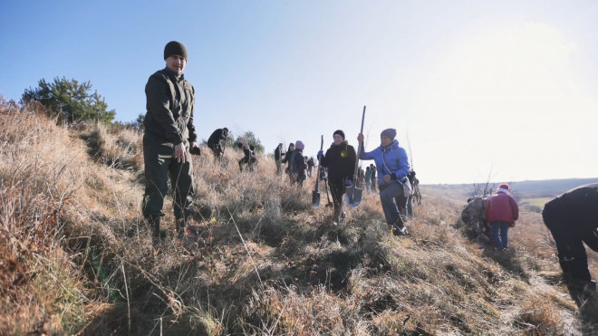 За підтримки «Контінентал» висаджено понад вісім тисяч дерев