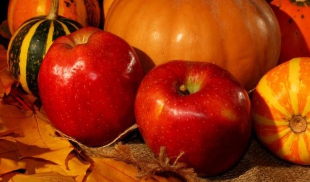 Не яблуком єдиним: Гадз вирощуватиме гарбуз і займеться переробкою