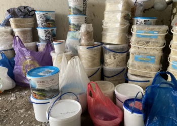 Тернопільські семінаристи зібрали допомогу військовослужбовцям на фронт