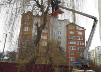 Комунальники проводять у Тернополі обрізку дерев