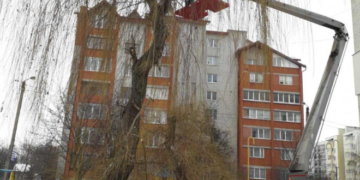 Комунальники проводять у Тернополі обрізку дерев