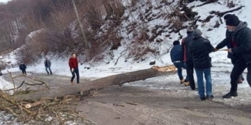 Повалені дерева та обірвані дроти: штормовий вітер наробив на Тернопільщині біди
