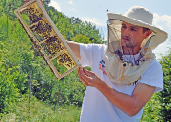 Історія успіху в Підгайцях: із безробітних – в одного із засновників кооперативу і сільського старосту