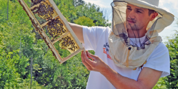 Історія успіху в Підгайцях: із безробітних – в одного із засновників кооперативу і сільського старосту